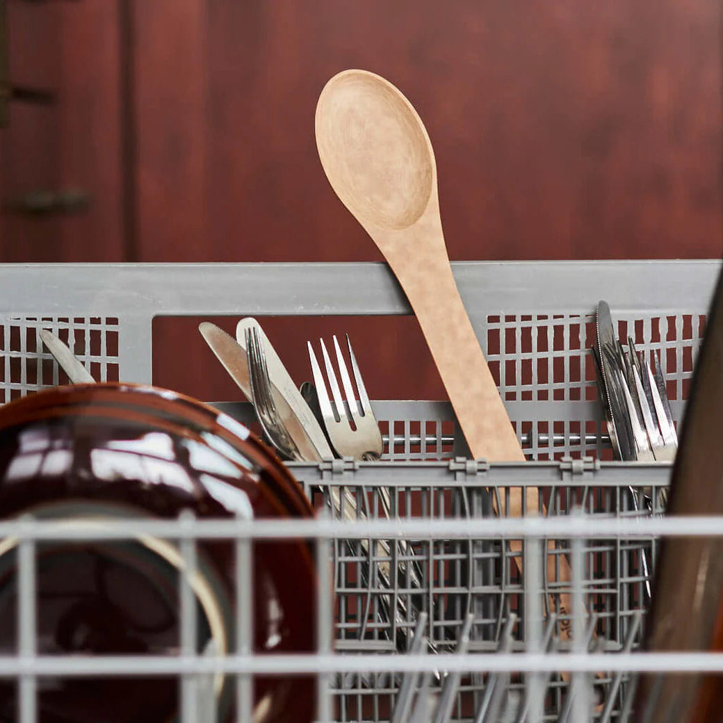 Kitchen Series Small Spoon