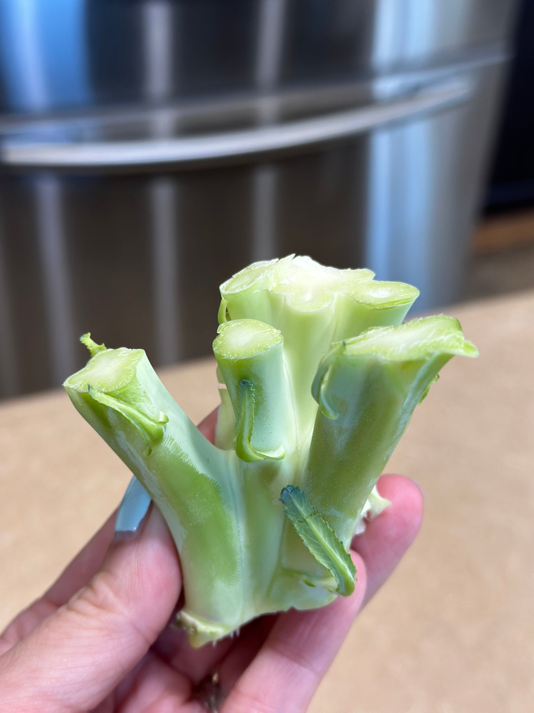 Leftover Broccoli Stalks