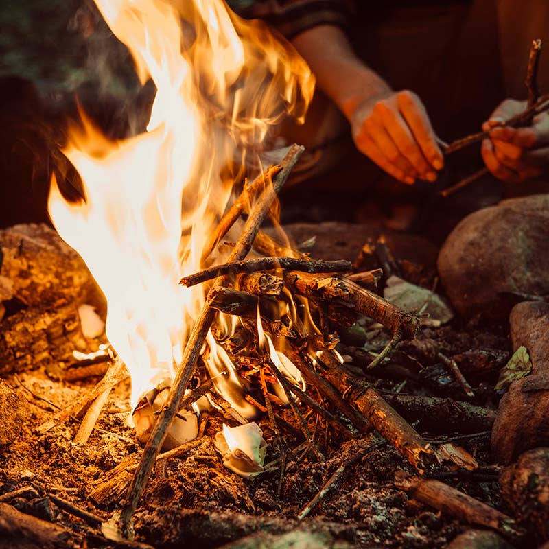 Person building a campfire with sticks and leaves, surrounded by nature.