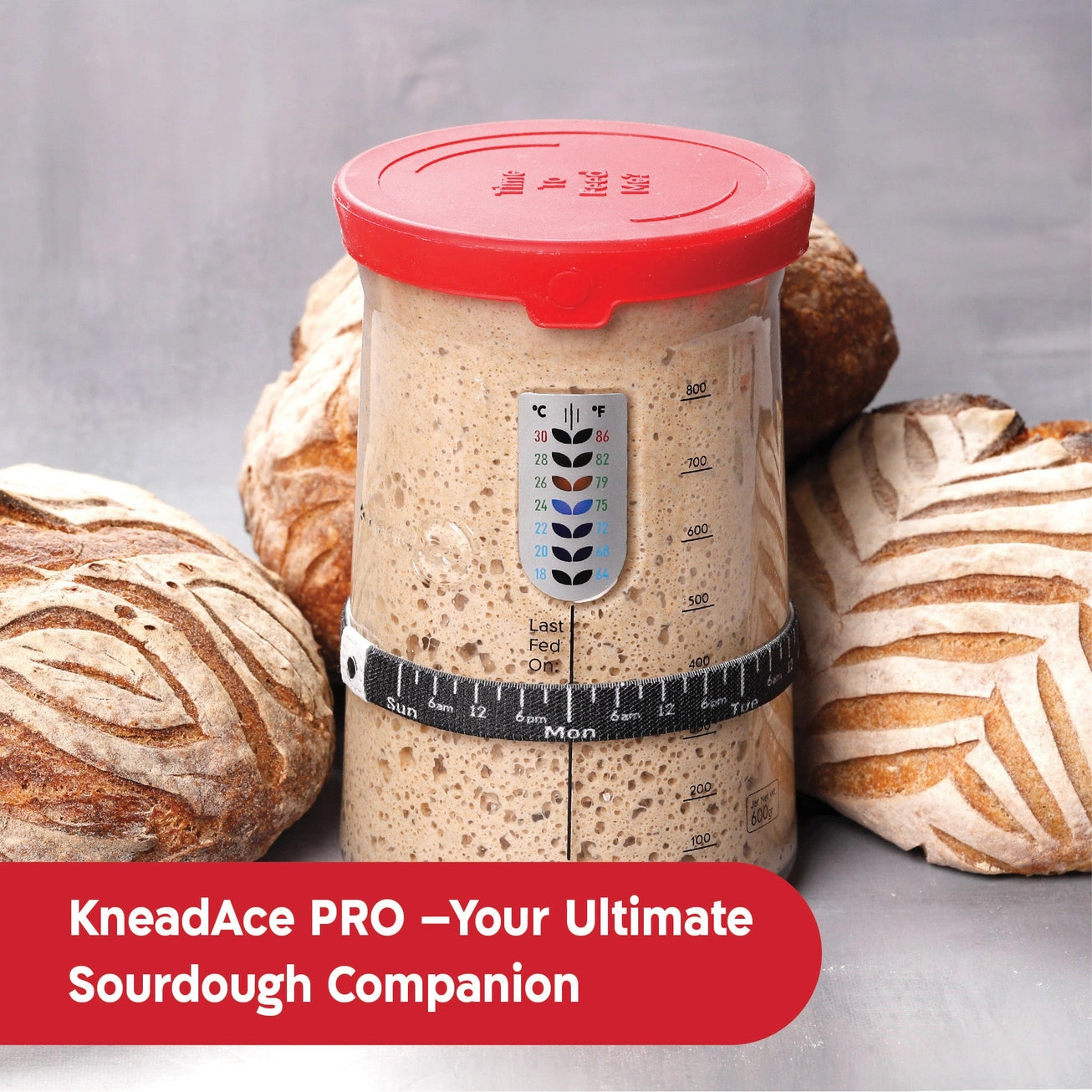 Sourdough Starter Jar Pro - 34 Oz