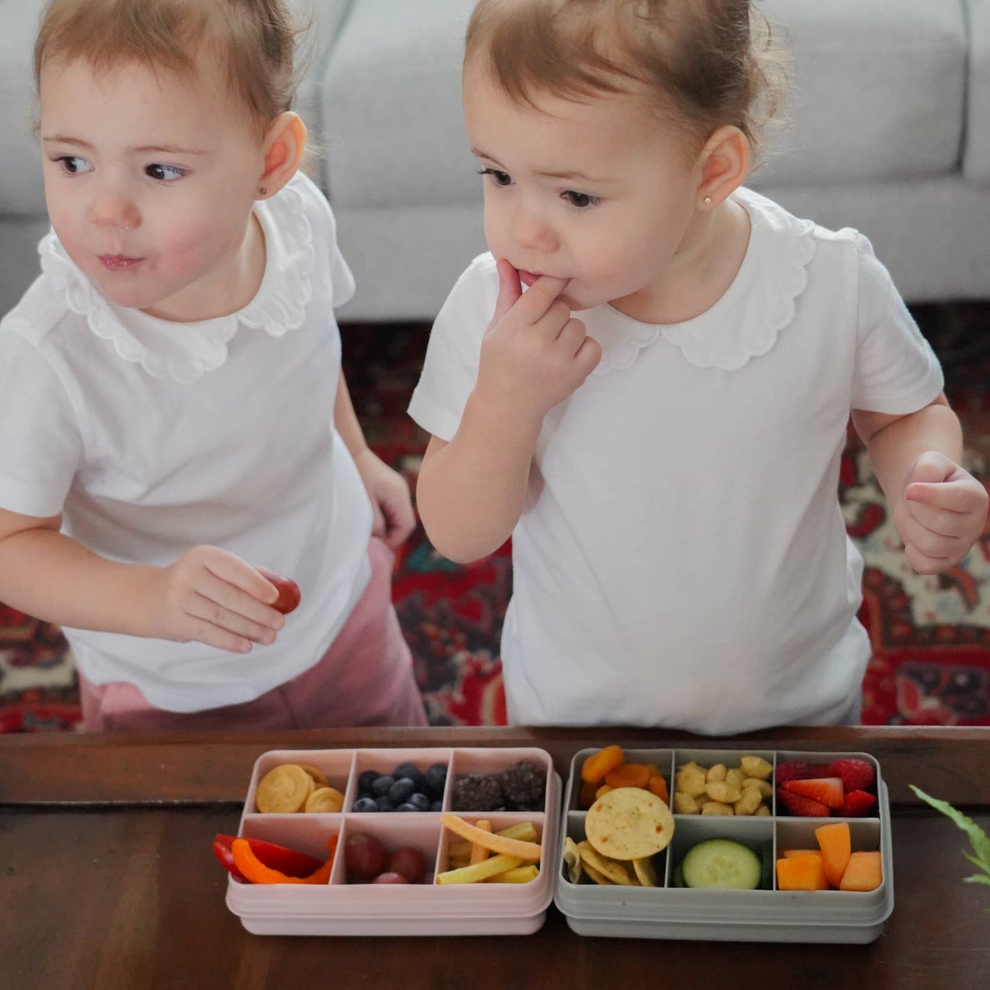 Mini Snackle Box - Blue