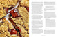 Cookies: The New Classics