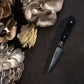 Pairing knife on black surface with mushrooms