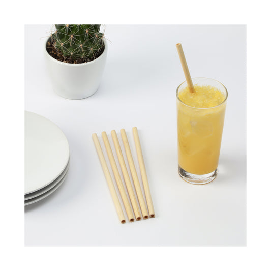 Bamboo Straws - 10 Piece Set