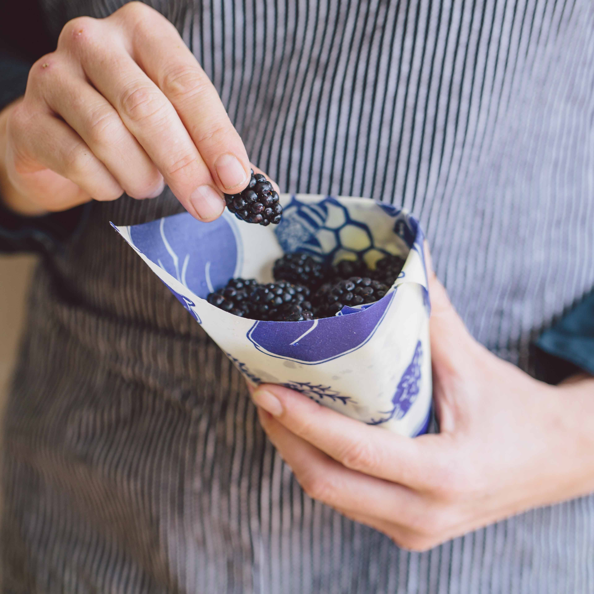Person holding a paper cone filled with blackberries