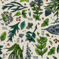 Pattern of green leaves and herbs with 'Bee's Wrap' text on a white background