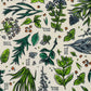 Pattern of green leaves and herbs with 'Bee's Wrap' text on a white background