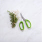 kitchen sissors with green handles on white surface with herbs. 