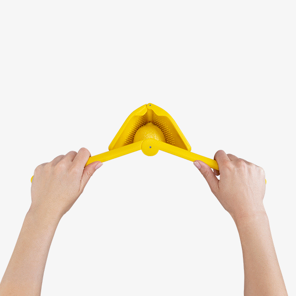 The Fresh Lemon Lover