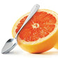 Grapefruit Spoon