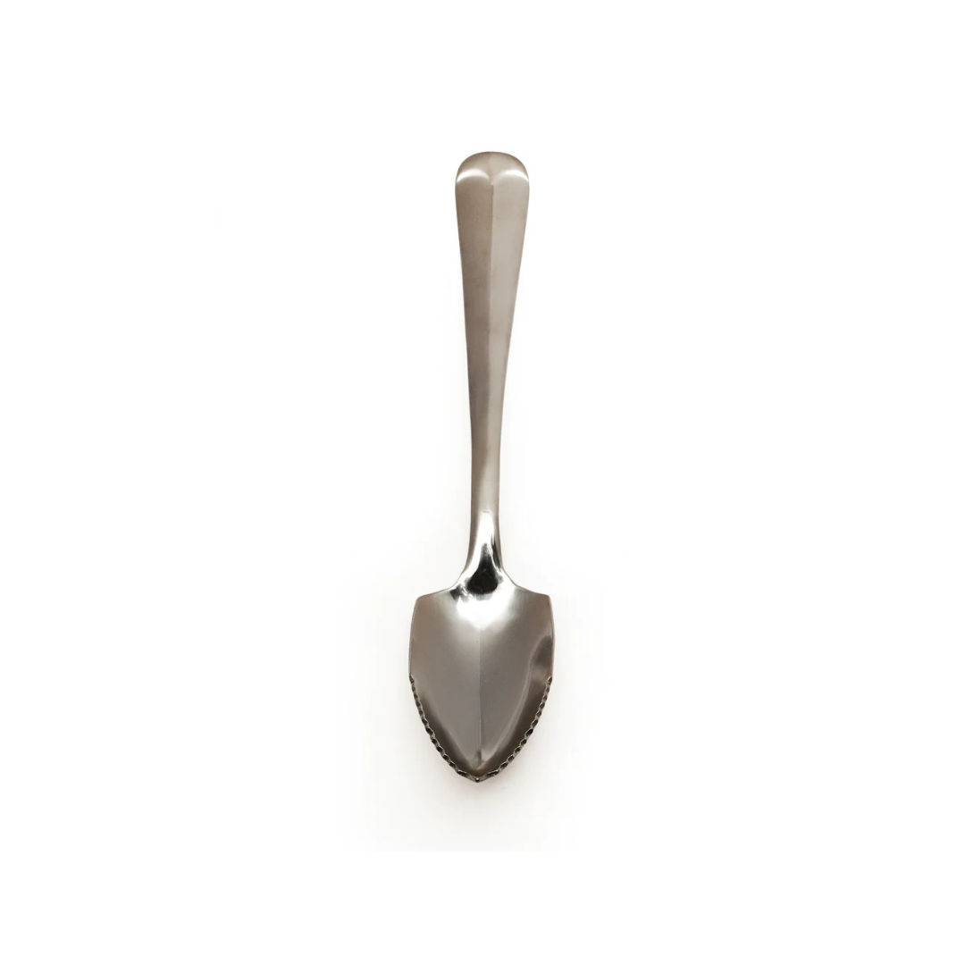 Grapefruit Spoon