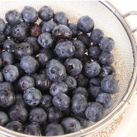 Blueberries in a metal strainer on a white background