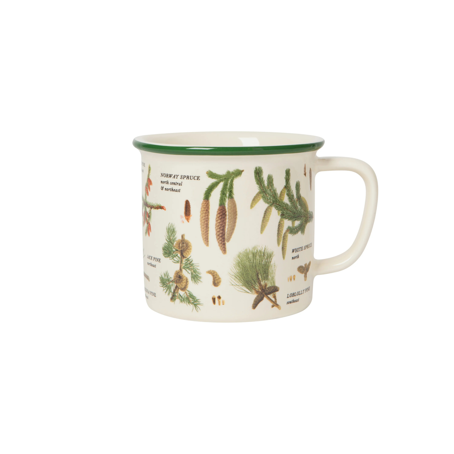 Mug with botanical illustrations on a white background