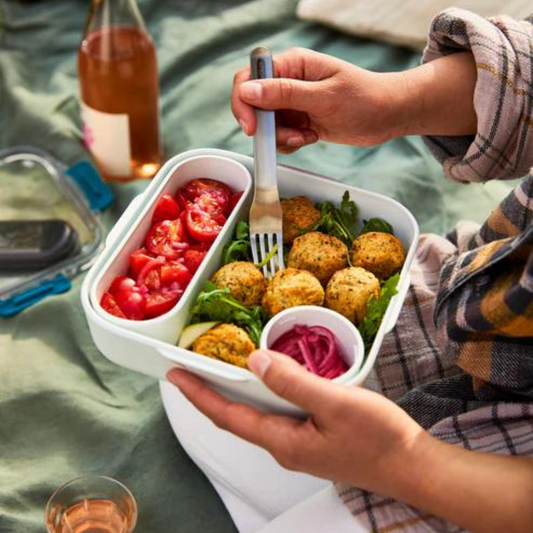 lunch box being used at picnic