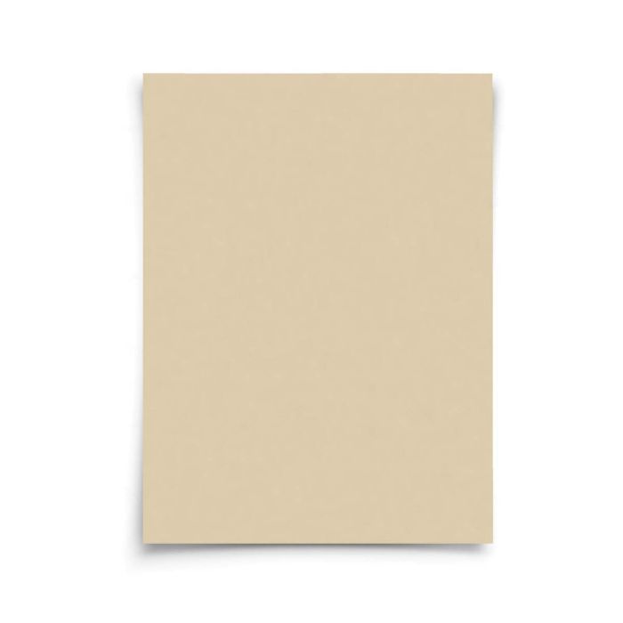 Beige color swatch on a white background