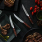 Avanta Pakkawood Fine Edge Steak Knife Set - 4 Piece Set