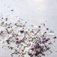 Coarse sea salt crystals mixed with dried purple flower buds and green herb pieces, scattered on a light gray surface.