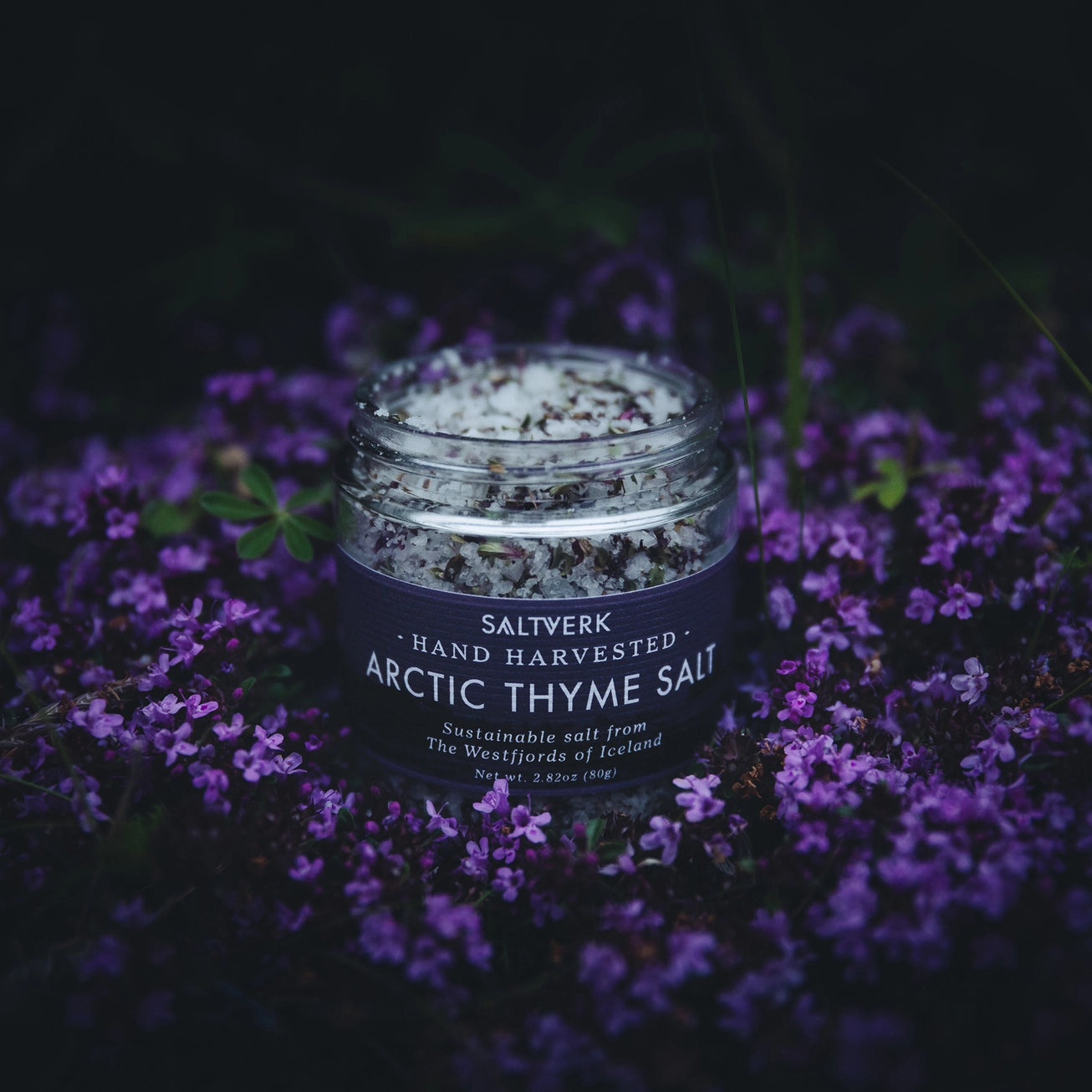 Jar of Saltwerk Arctic Thyme Salt surrounded by purple flowers on a dark background