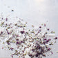 Saltverk Arctic Thyme Salt  with visible herbs on a light background