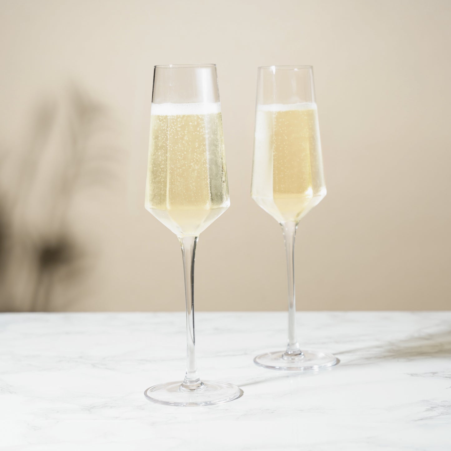 Seneca Stemmed Champagne Flutes (Set of 2)