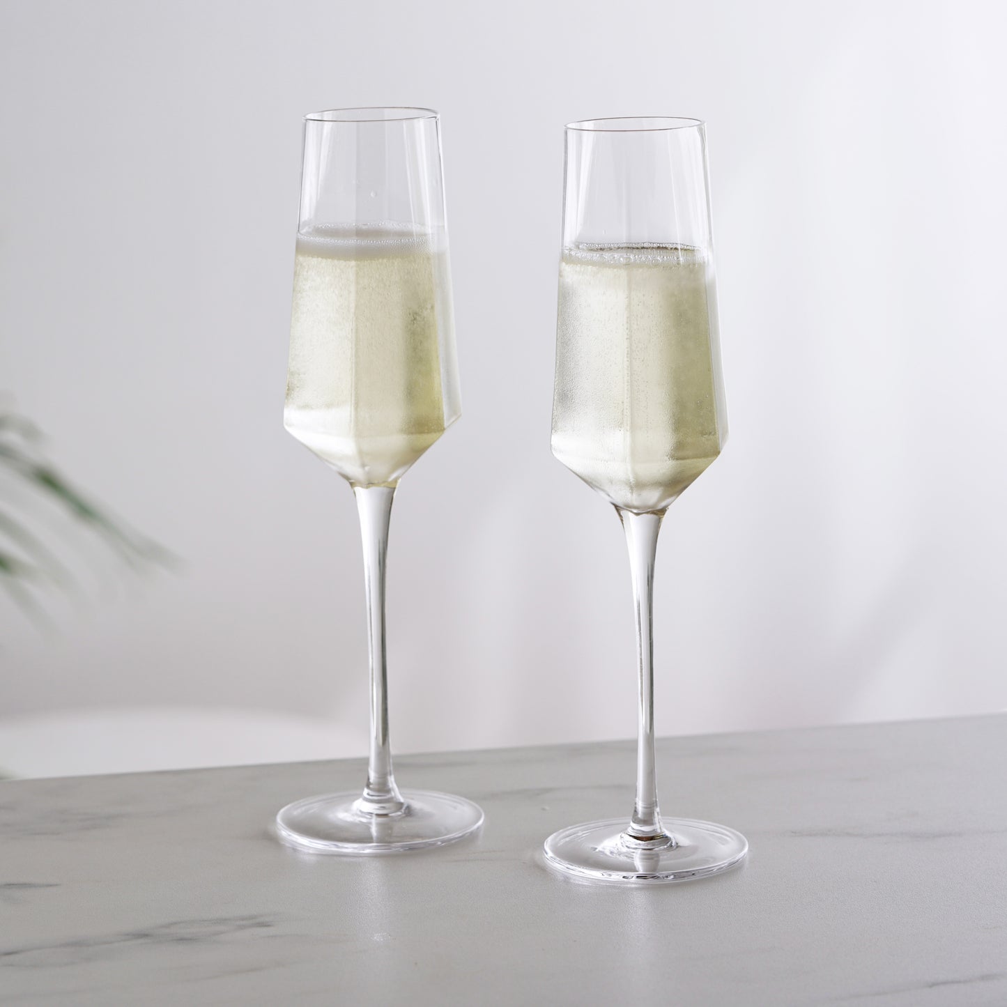 Seneca Stemmed Champagne Flutes (Set of 2)