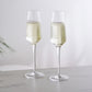 Seneca Stemmed Champagne Flutes (Set of 2)