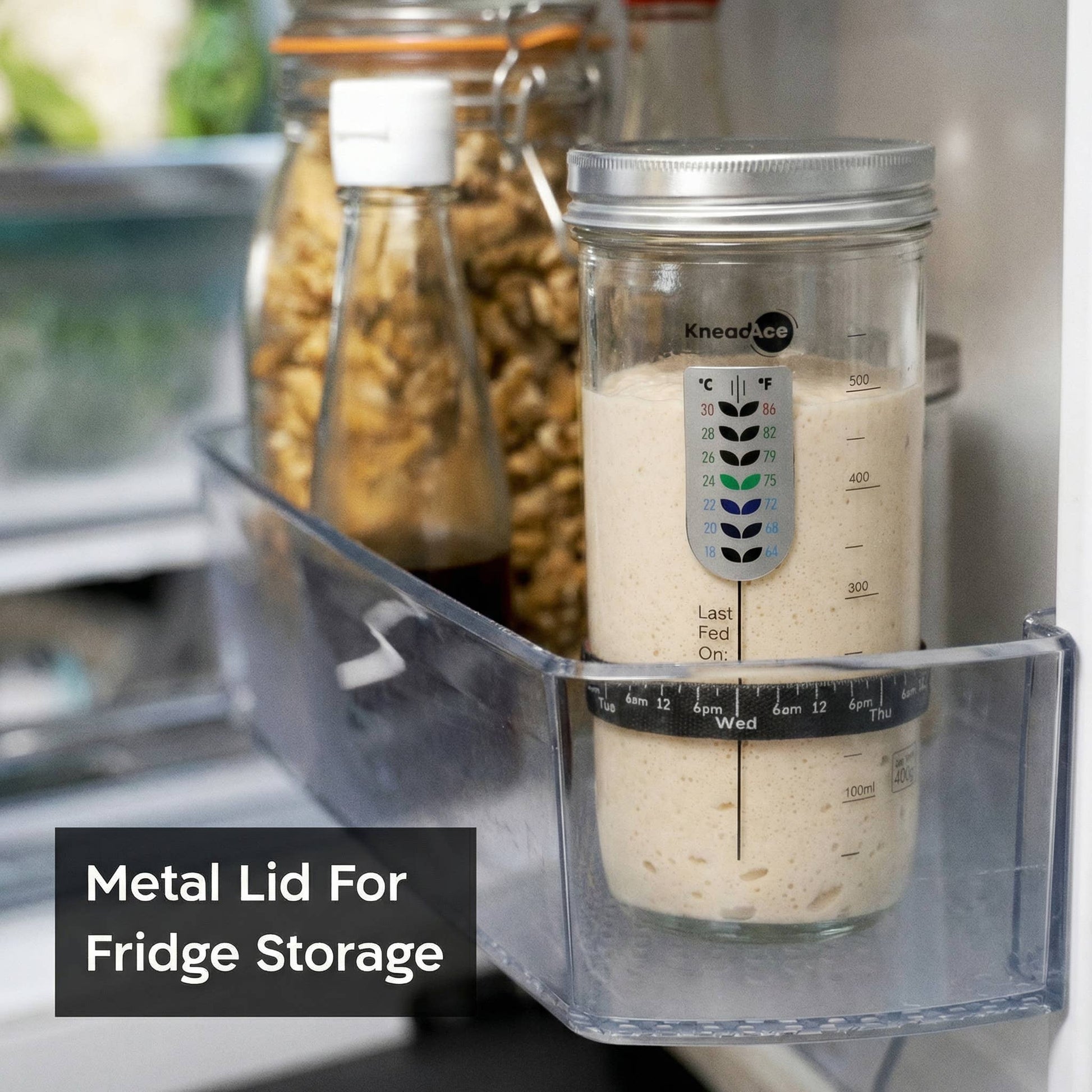Glass container with metal lid on a kitchen counter, surrounded by jars of food.