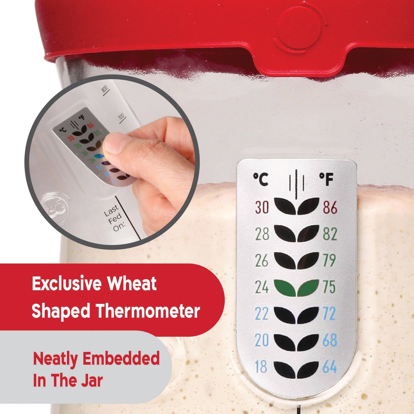 Wheat-shaped thermometer embedded in a jar with temperature display.