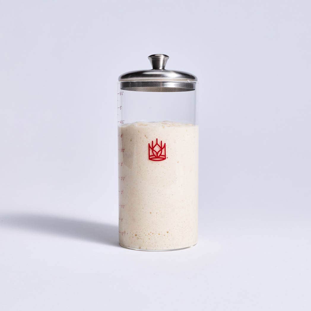 Clear glass Sourdough Storage Crock with a metal lid and red logo on a light gray background