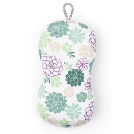 2 in 1 Sponge - Succulents