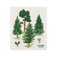 Swedish Sponge Cloth - Woodland