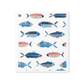 Pattern of colorful fish on a white background