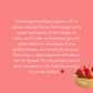 A Taste of Strawberry Season - Balsamic Strawberry & Brie Grilled Cheese - 6 PM, Saturday, May 17th, 2025