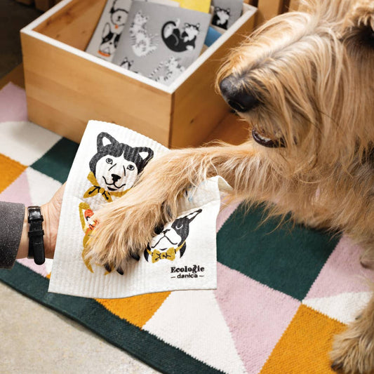 Dog interacting with a hand holding a dog pattern swedish dishcloth on a colorful geometric rug.
