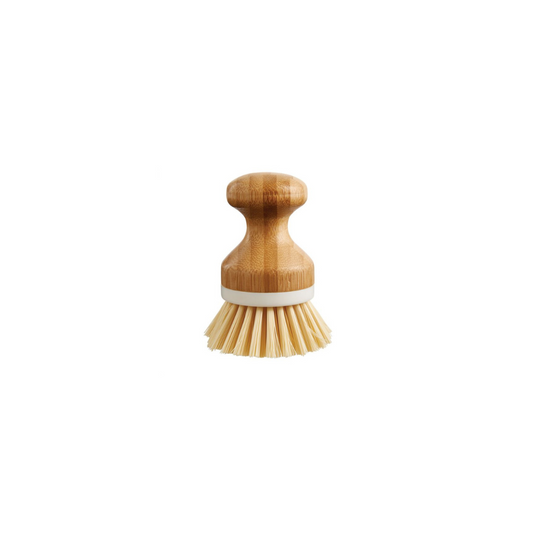 Natural Bamboo Handle Dish Brush