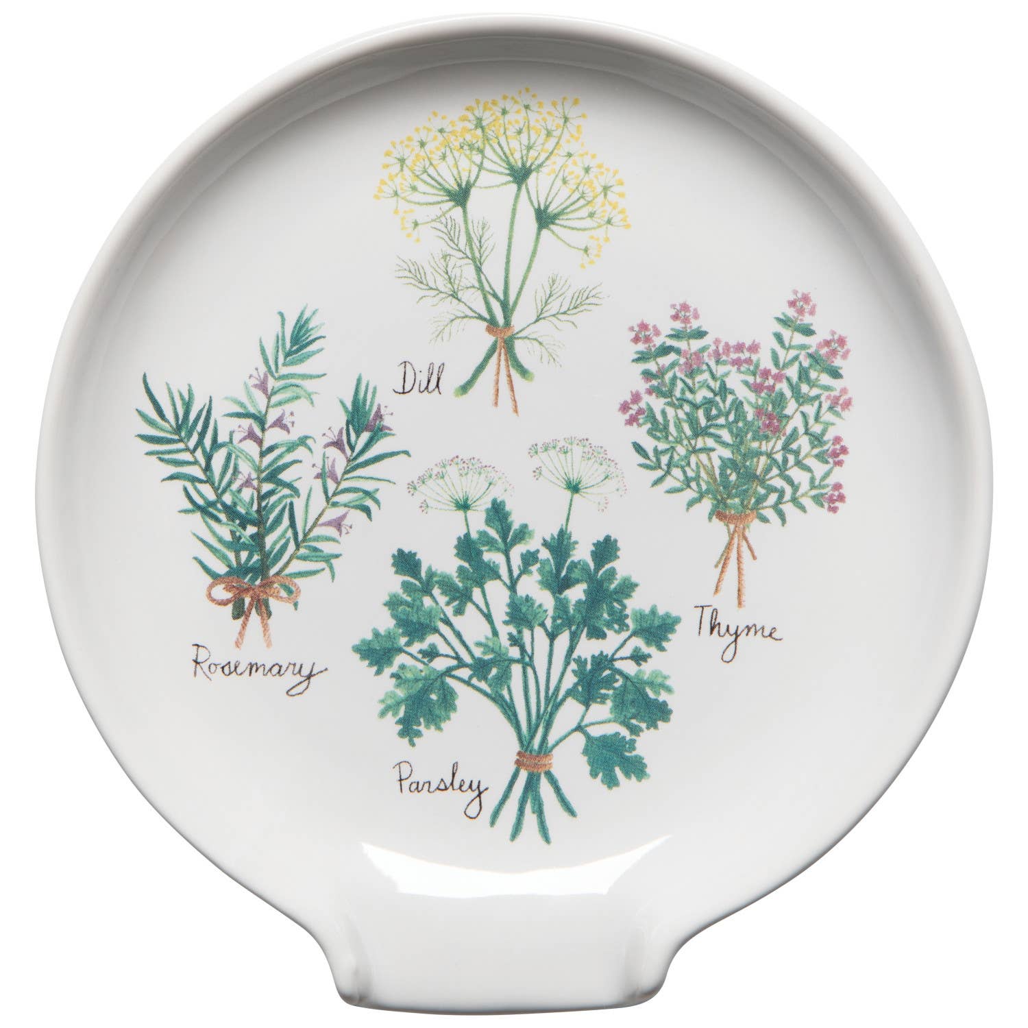 Decorative plate with illustrations of herbs and their names on a white background
