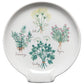 Decorative plate with illustrations of herbs and their names on a white background