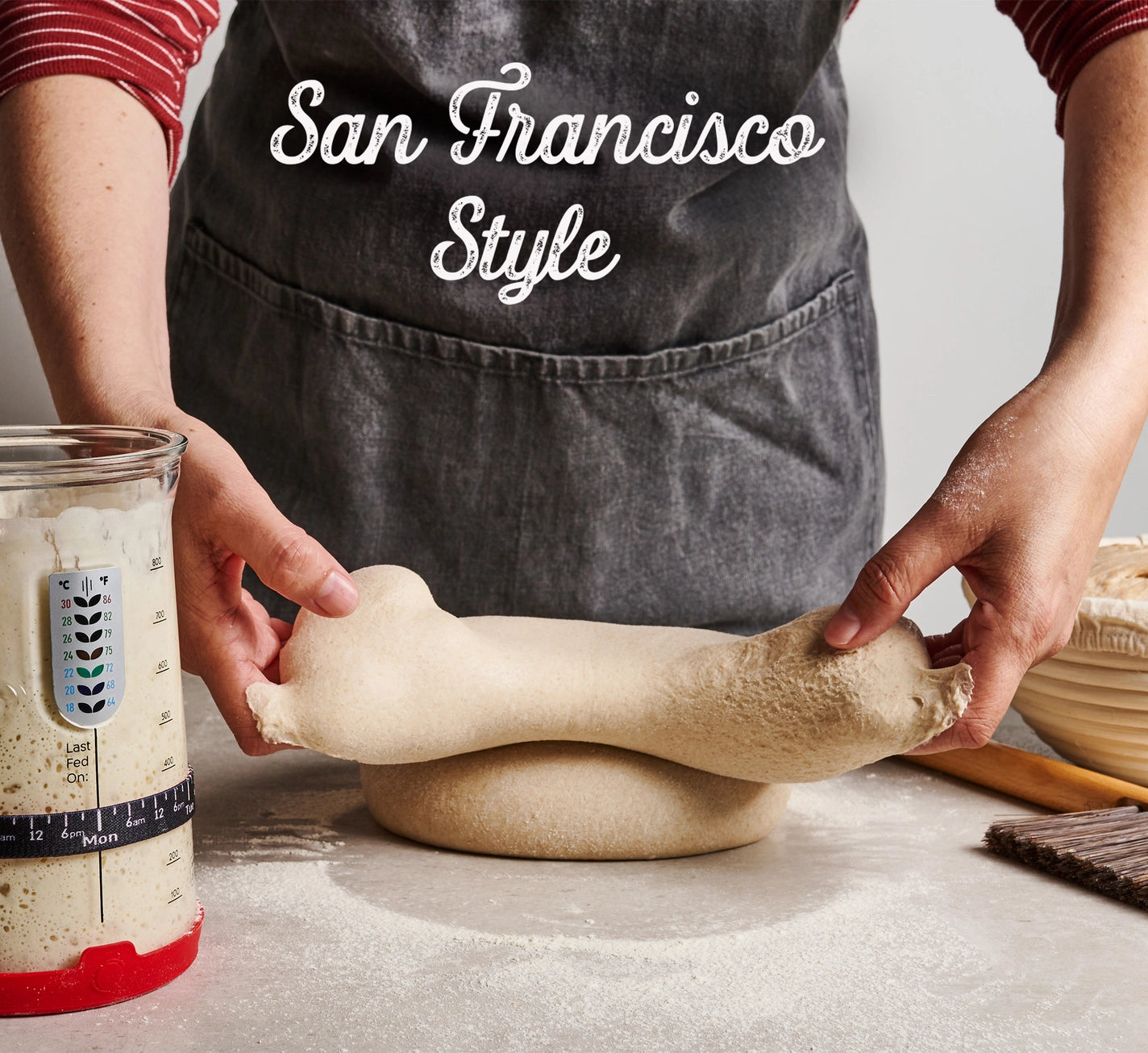 Sourdough Starter Culture
